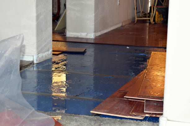 Professional Burst Pipe Cleanup technician working in Scottsboro, AL